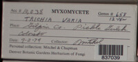 Image Associated With the Occurence